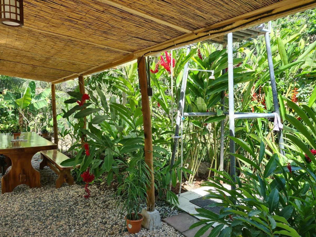 Trebolmar Apartments For Remote Work Playa Santa Teresa  Extérieur photo